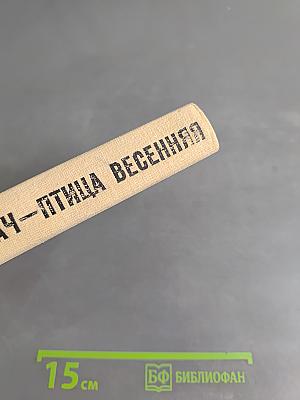 Грач — птица весенняя