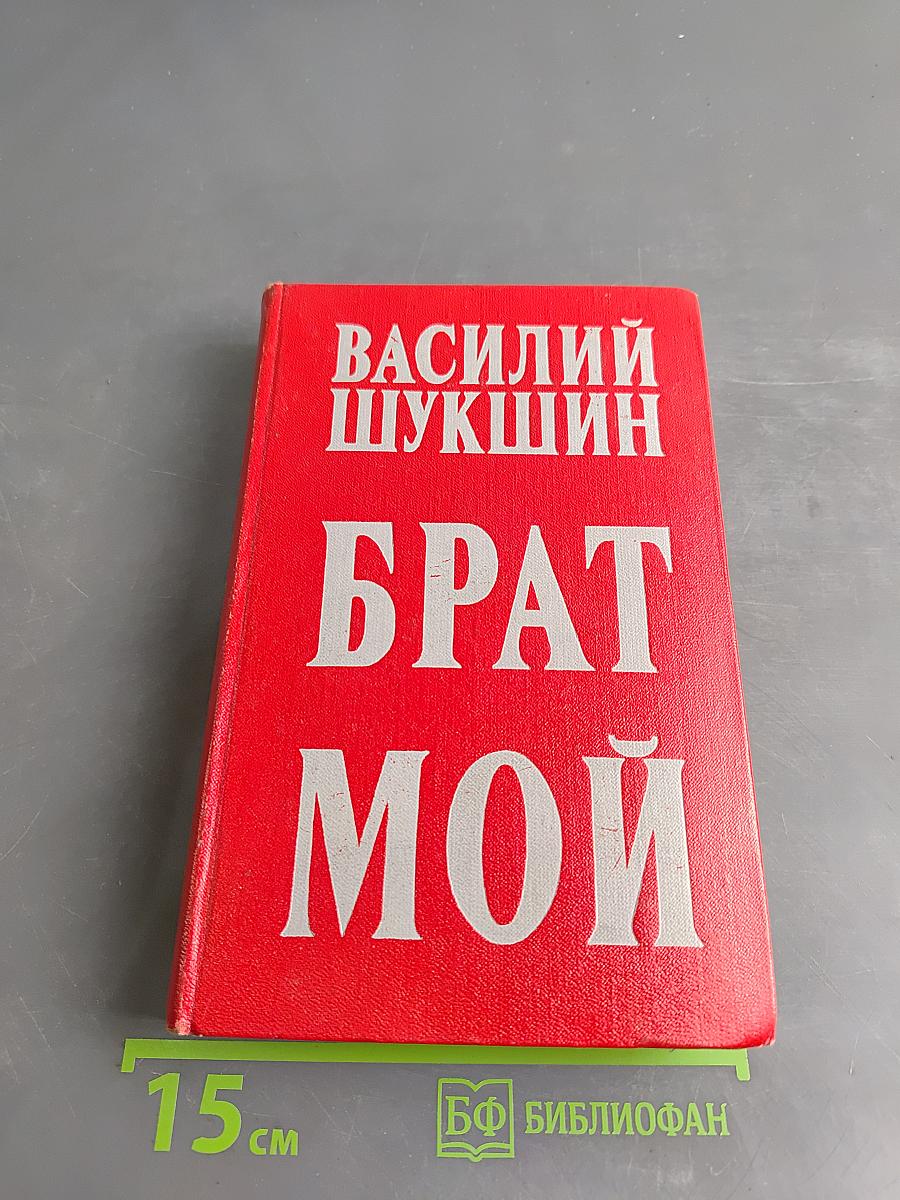 Брат мой
