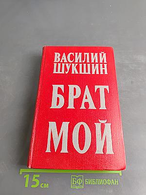Брат мой