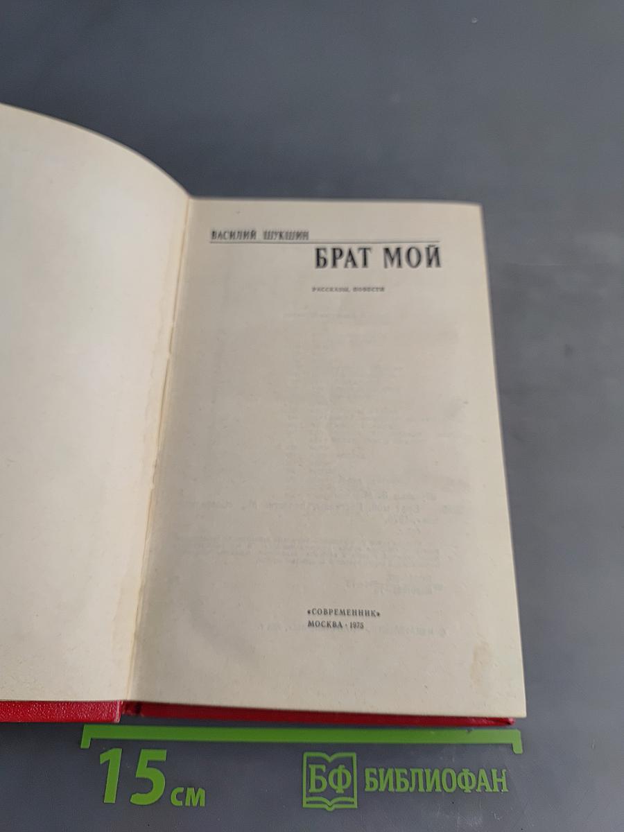 Брат мой