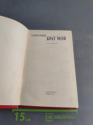Брат мой