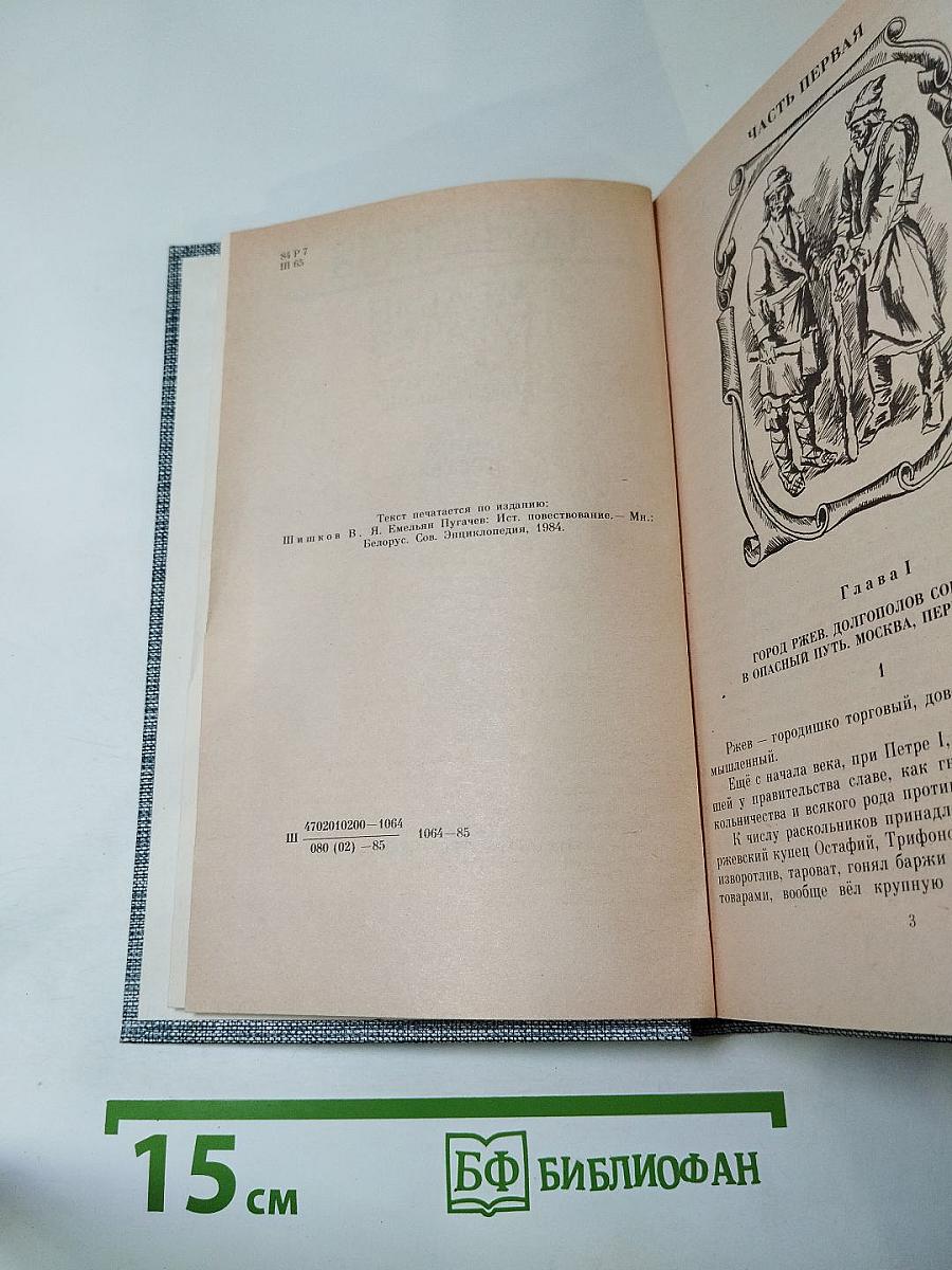 Емельян Пугачев. Историческое повествование. Книга третья