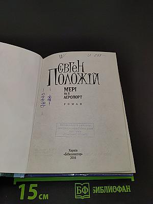 Мері та її аеропорт