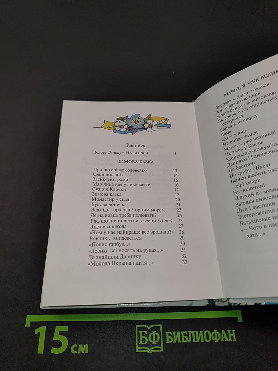 Чи Україні ти син?