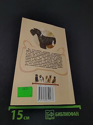 Парикмахерская для собак и кошек