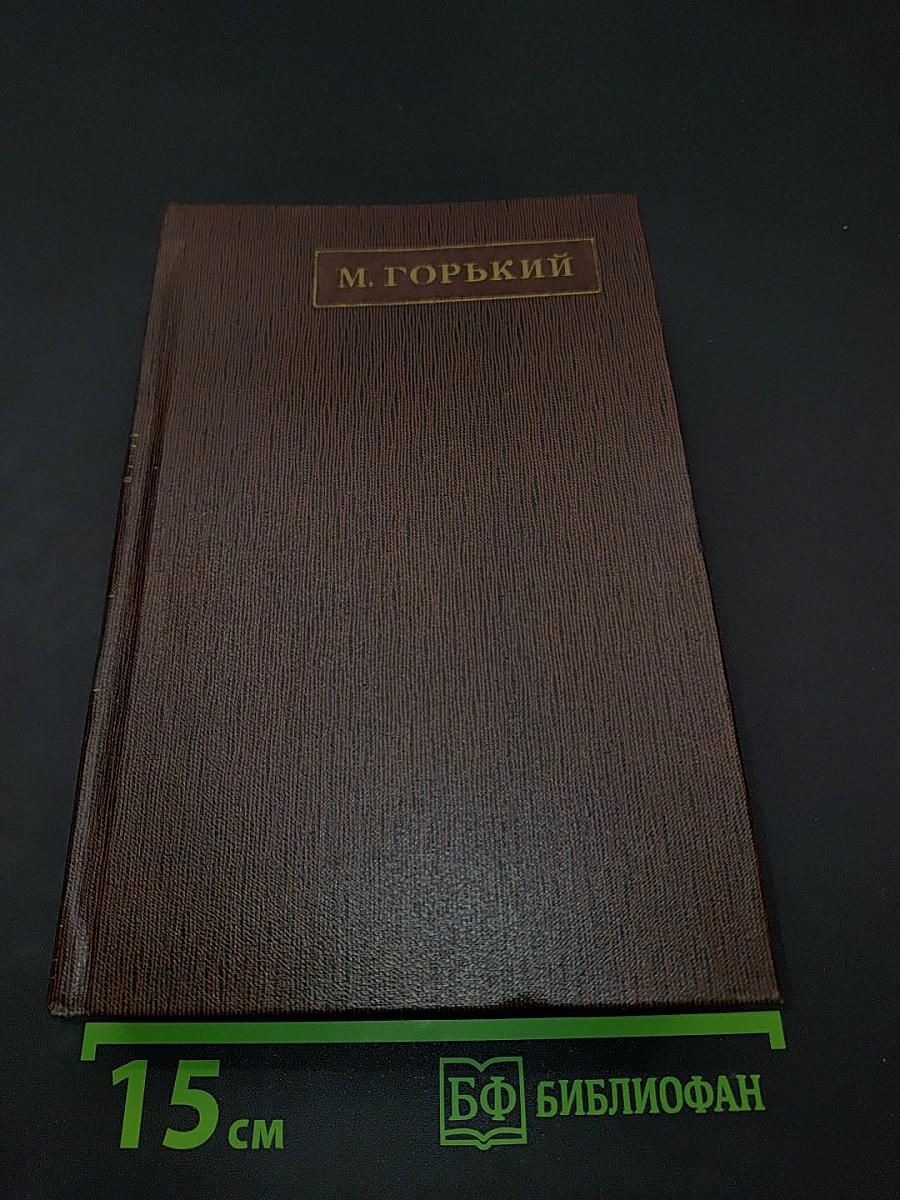 Собрание сочинений в 30 томах. Том 4. Фома Гордеев. Рассказы, очерки, наброски, стихи 1897-1899