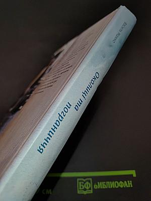 Околиці та пограниччя. Вибрані есеї 2011-2018