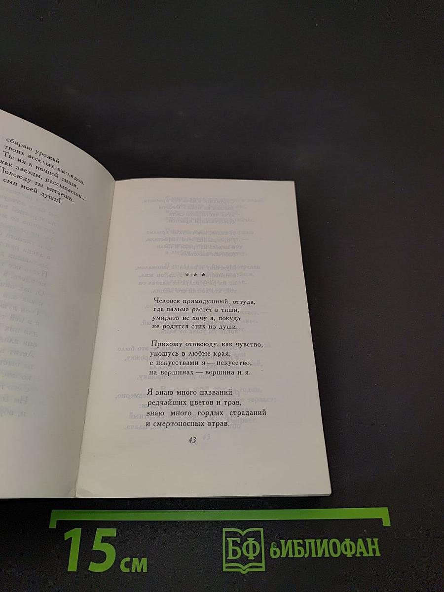 Флейта в сельве
