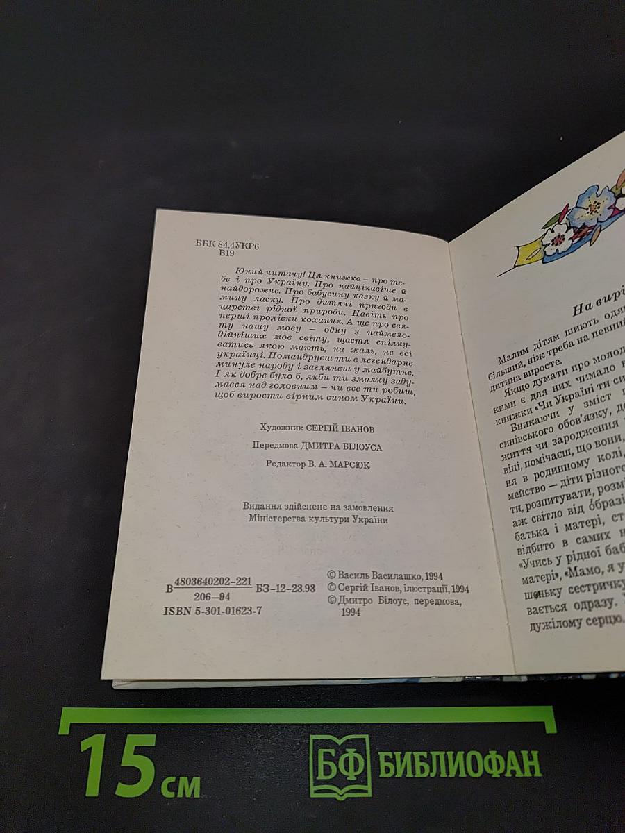Чи Україні ти син?