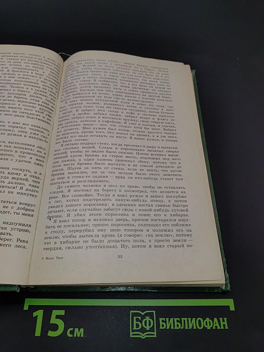 Приключения Гекльберри Финна