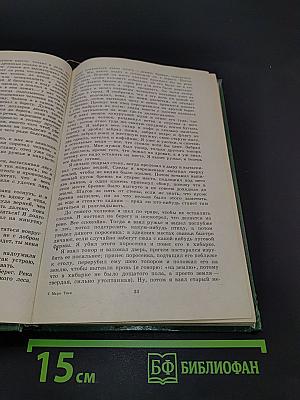 Приключения Гекльберри Финна