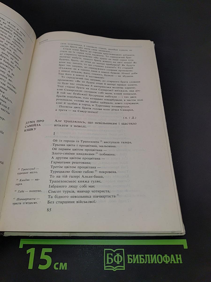 Історія України в народних думах та піснях