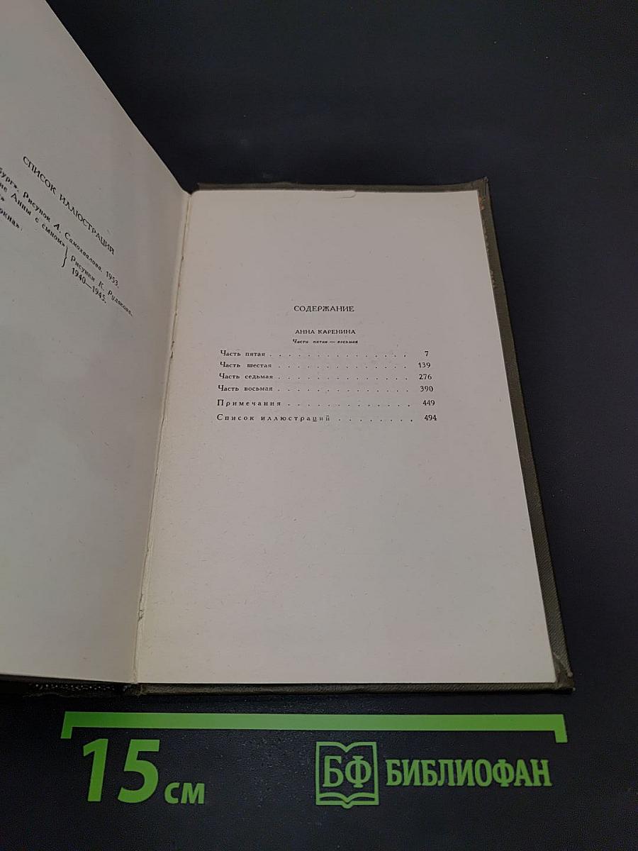 Анна Каренина. Роман в восьми частях. Том девятый