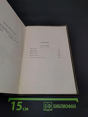 Анна Каренина. Роман в восьми частях. Том девятый