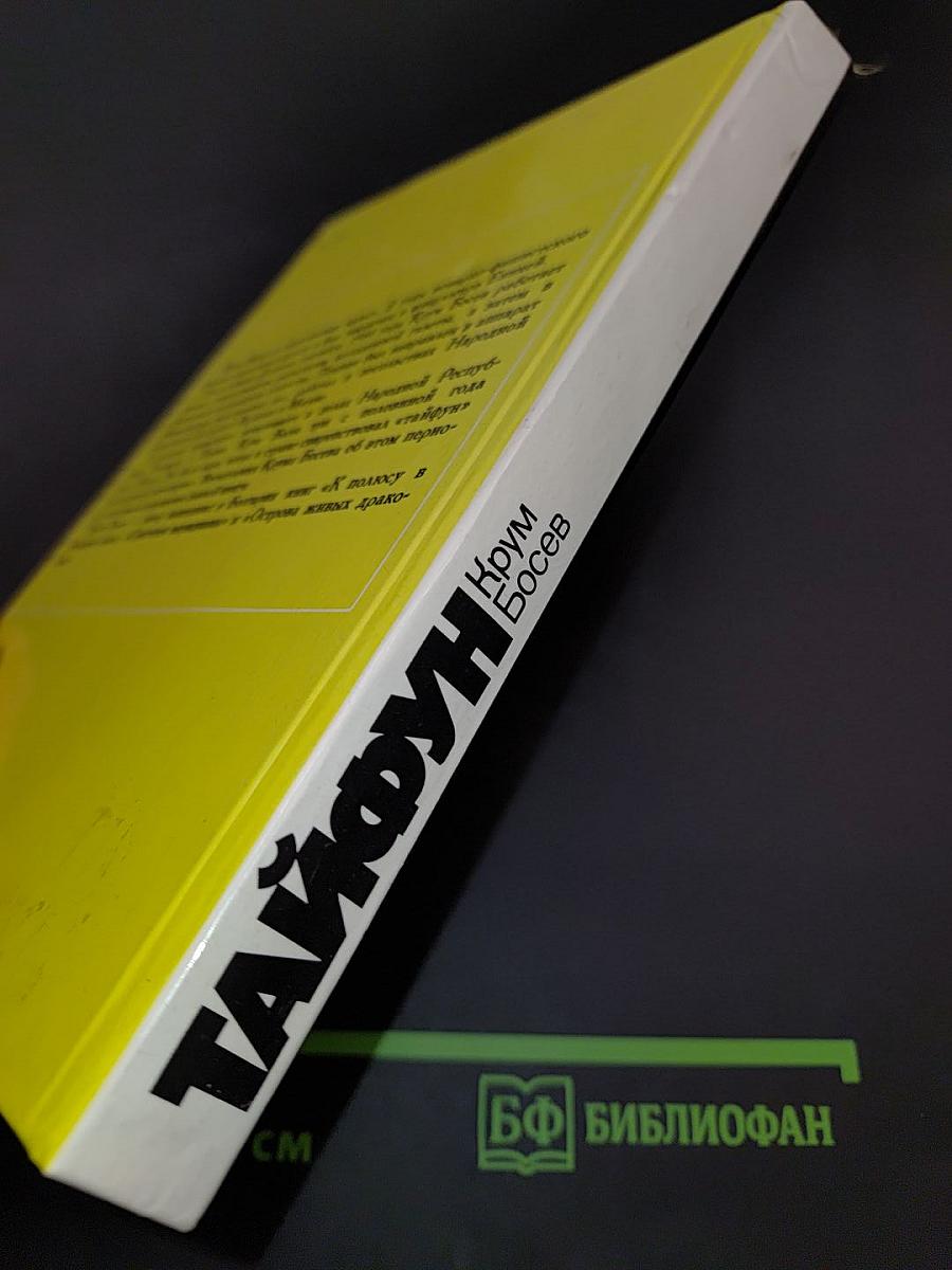Тайфун. Записки из Китая