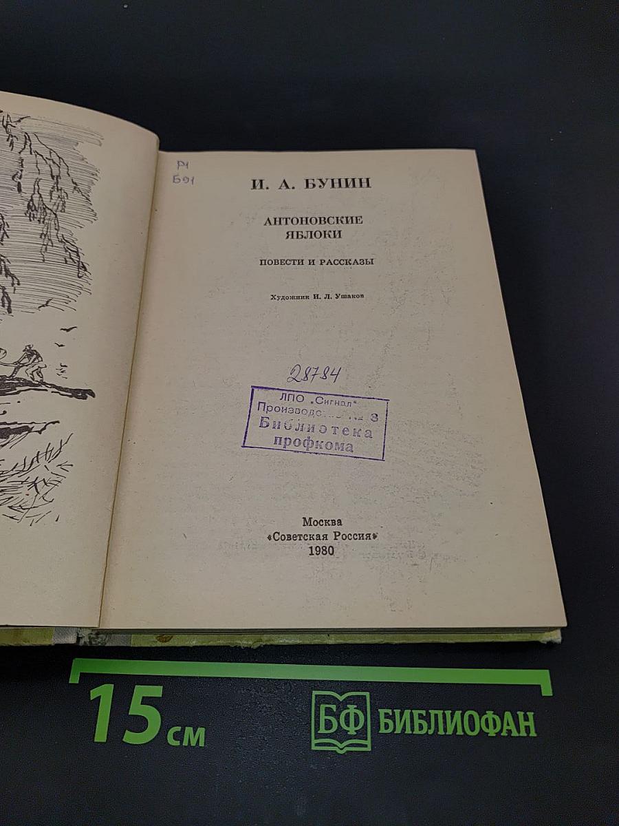 Антоновские яблоки