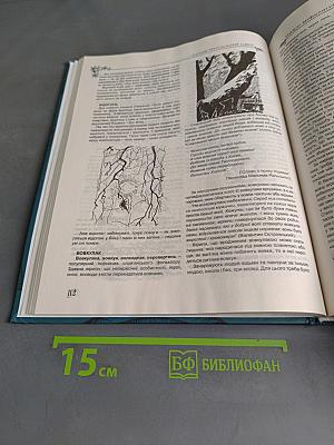 Українська міфологія. Божества і духи