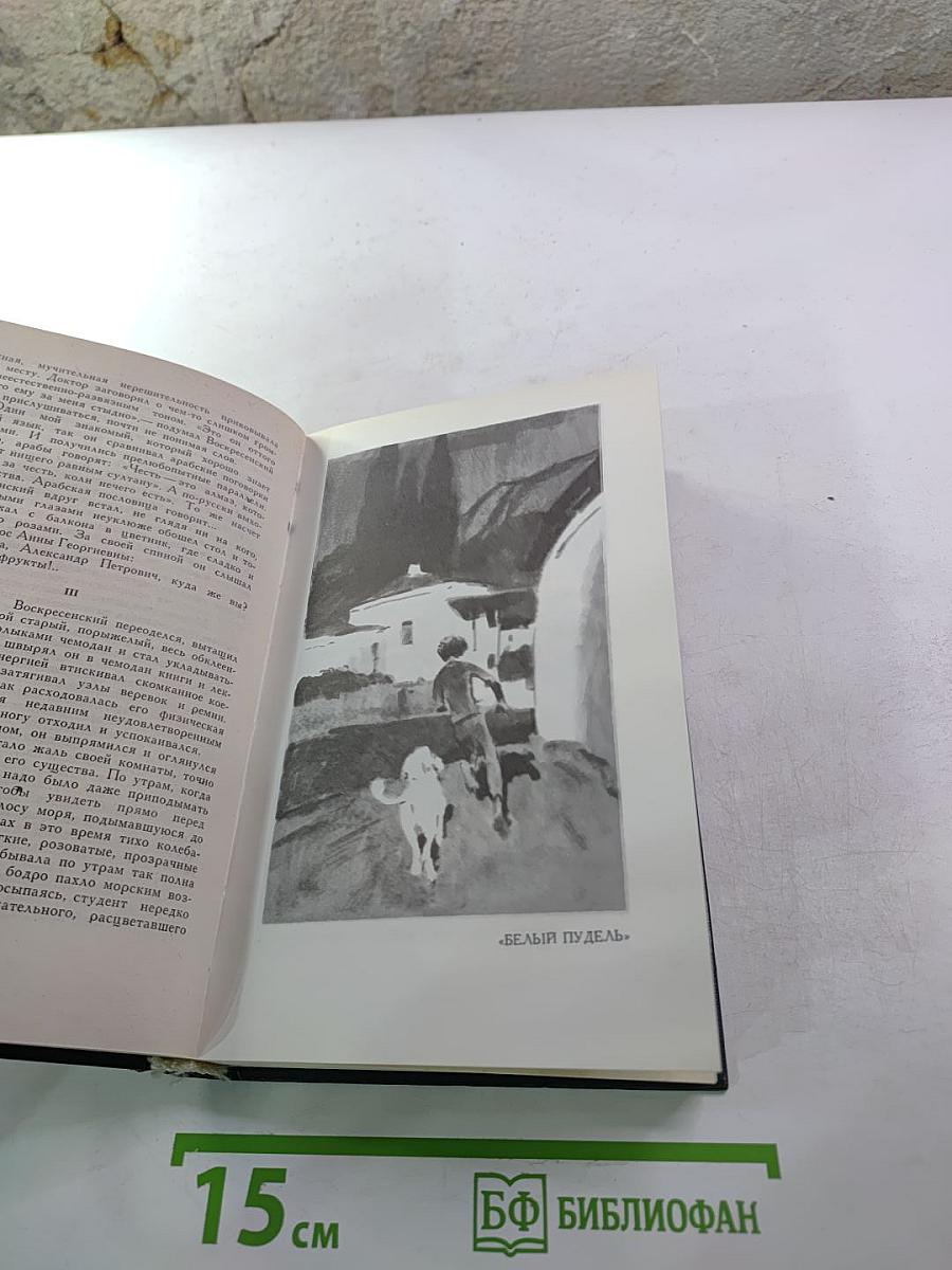 Собрание сочинений в пяти томах. Том 2