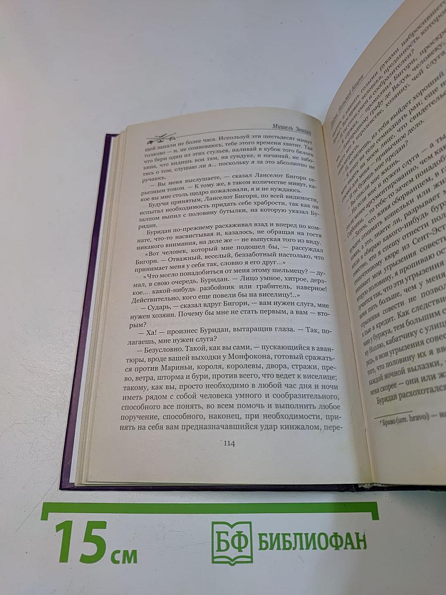 Тайны Нельской башни. Книга 1. Маргарита Бургундская