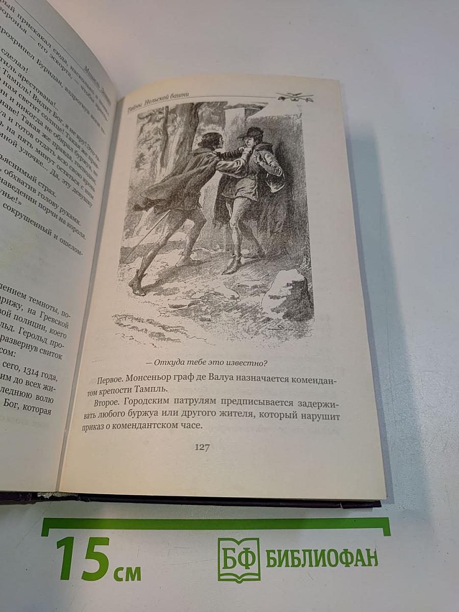 Тайны Нельской башни. Книга 1. Маргарита Бургундская