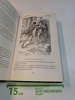 Тайны Нельской башни. Книга 1. Маргарита Бургундская