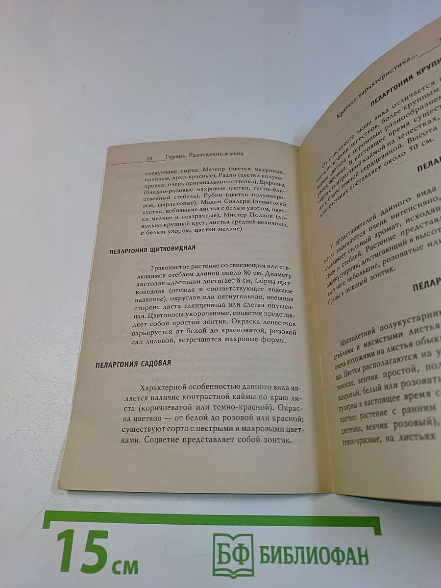 Герань: разведение и уход
