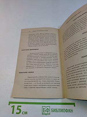 Герань: разведение и уход
