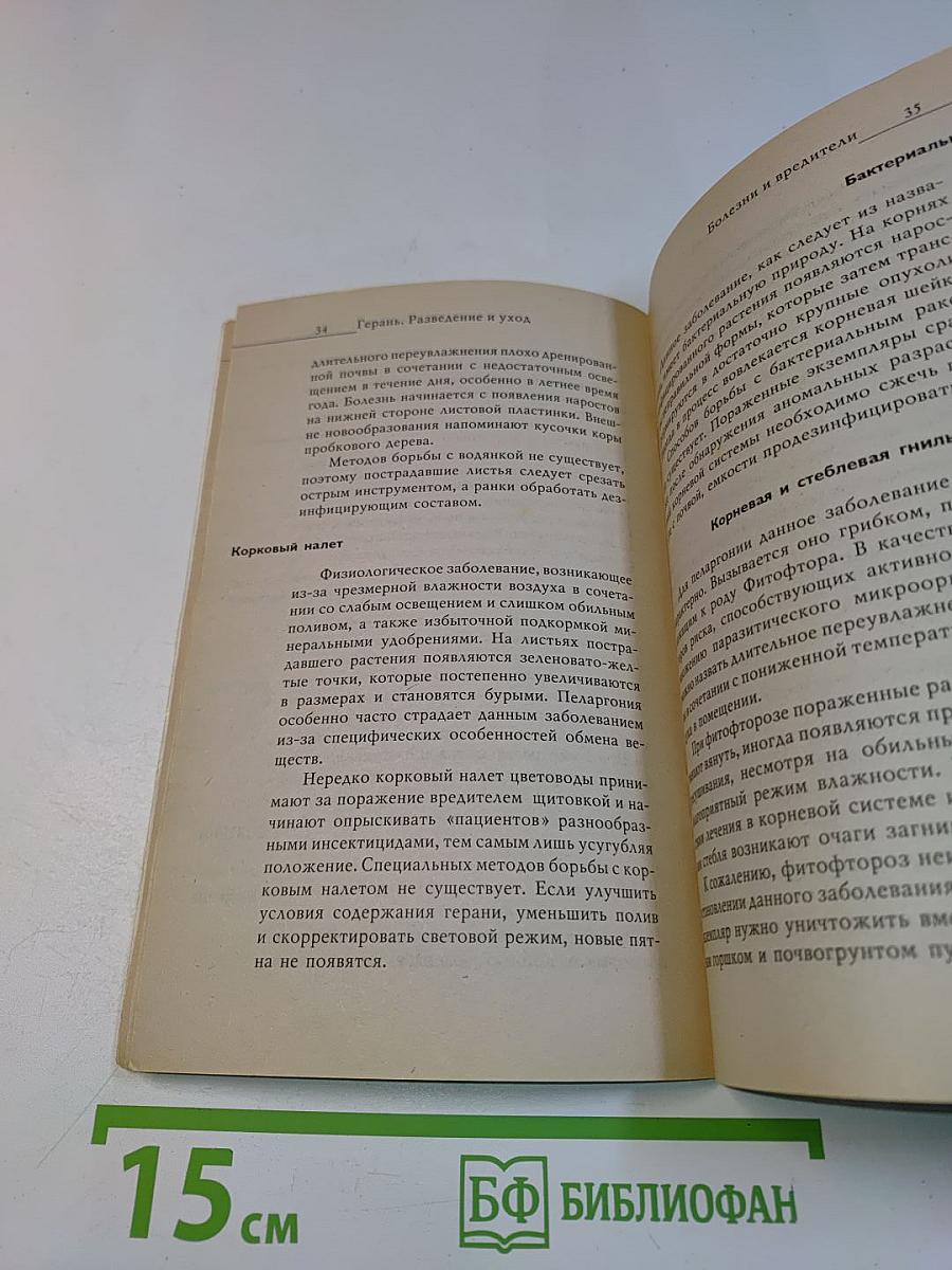 Герань: разведение и уход