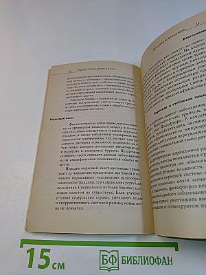 Герань: разведение и уход