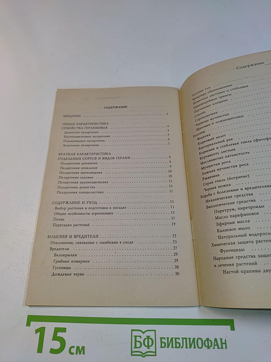 Герань: разведение и уход