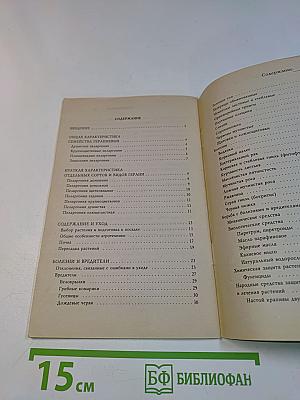 Герань: разведение и уход
