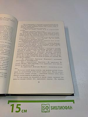 Сеньор Президент