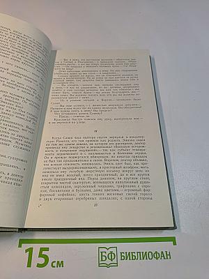 Собрание сочинений. Том восьмой. Повести и рассказы 1870-1882