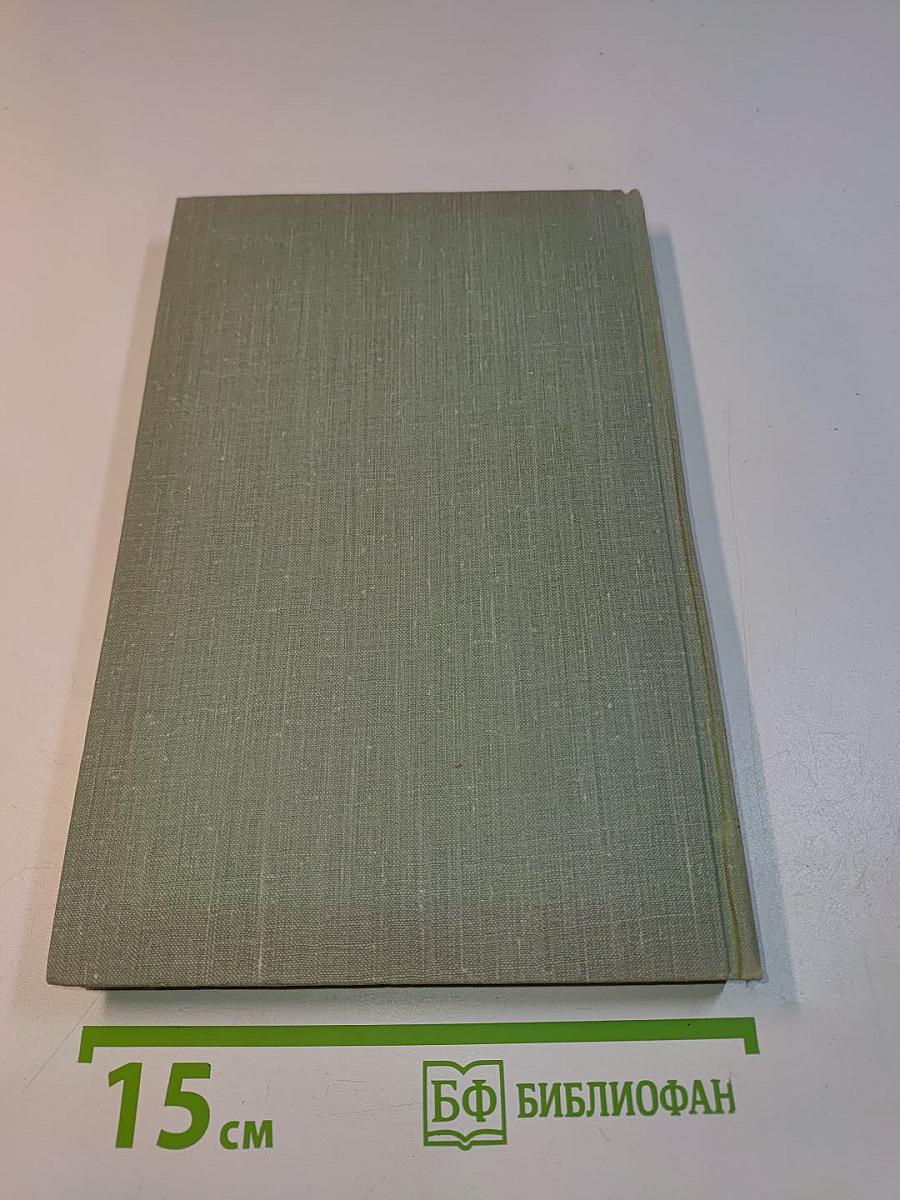 Собрание сочинений. Том восьмой. Повести и рассказы 1870-1882