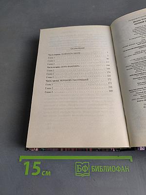 Ночной смотрящий