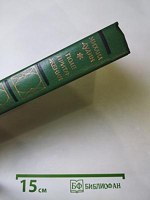 Поле притяжения