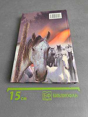 Дикі білі коні