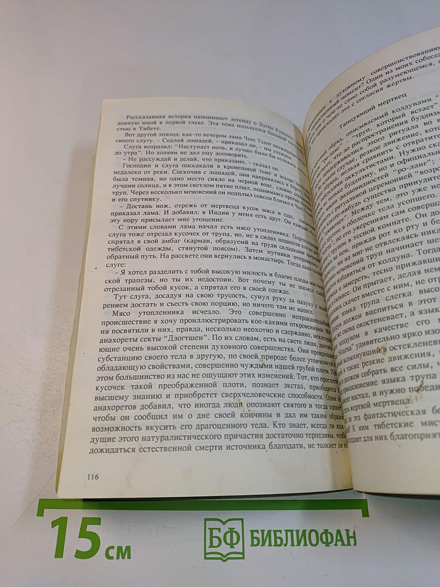Мистики и маги Тибета