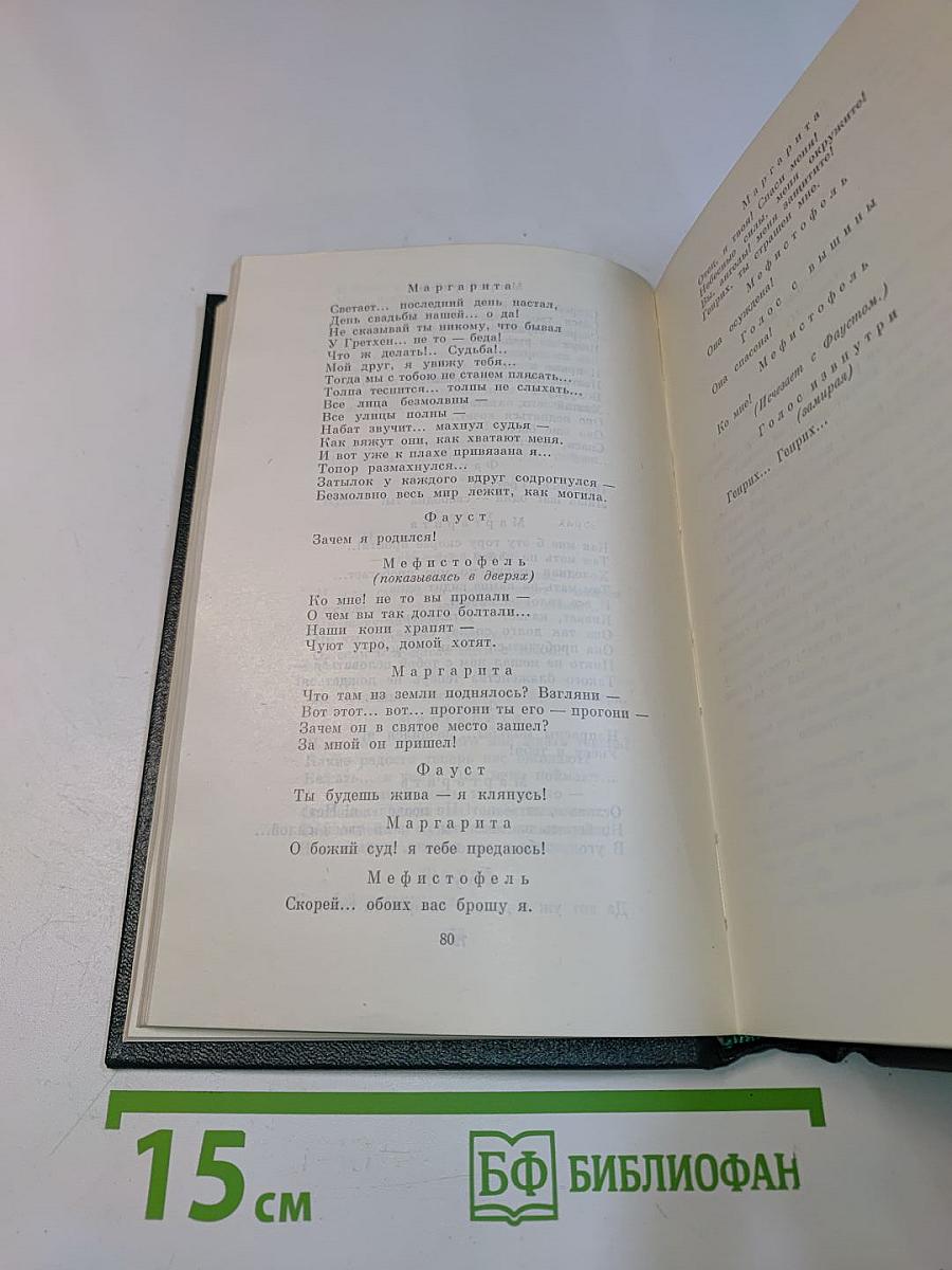 Стихотворения, поэмы, литературные воспоминания и житейские воспоминания. Переводы