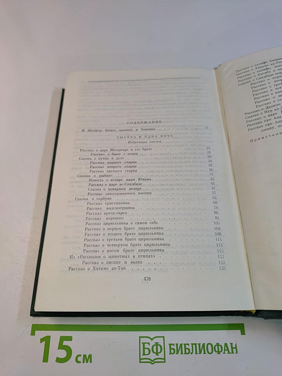 Тысяча и одна ночь. Книга первая