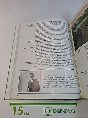 На великой Русской равнине