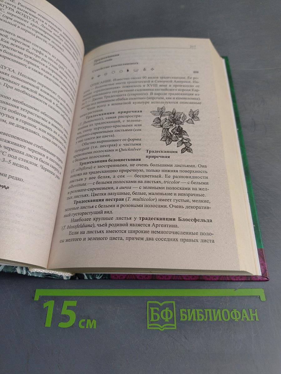 Комнатное цветоводство