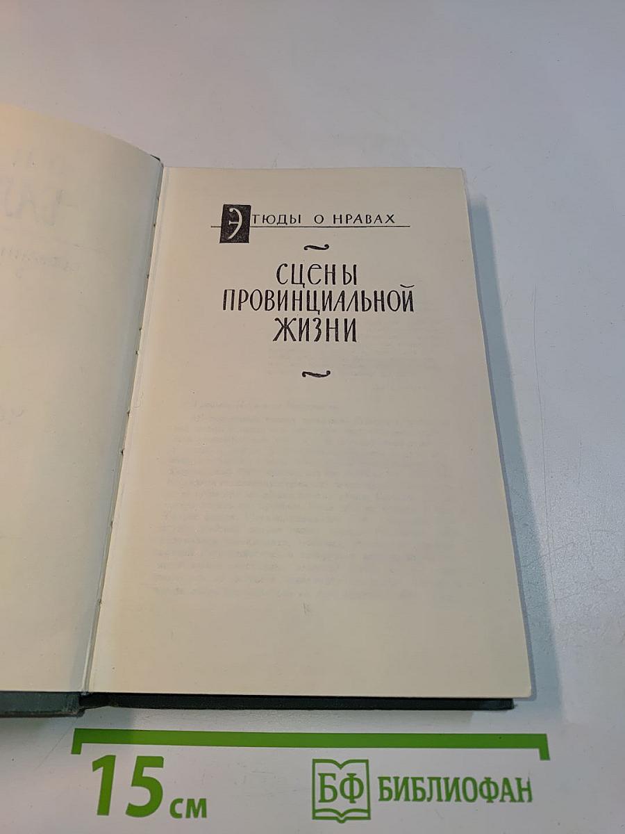 Человеческая комедия. Сцены провинциальной жизни