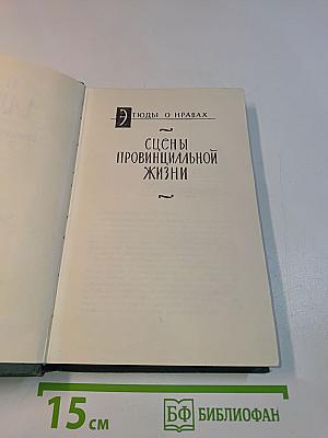 Человеческая комедия. Сцены провинциальной жизни