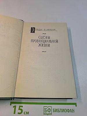 Сцены провинциальной жизни