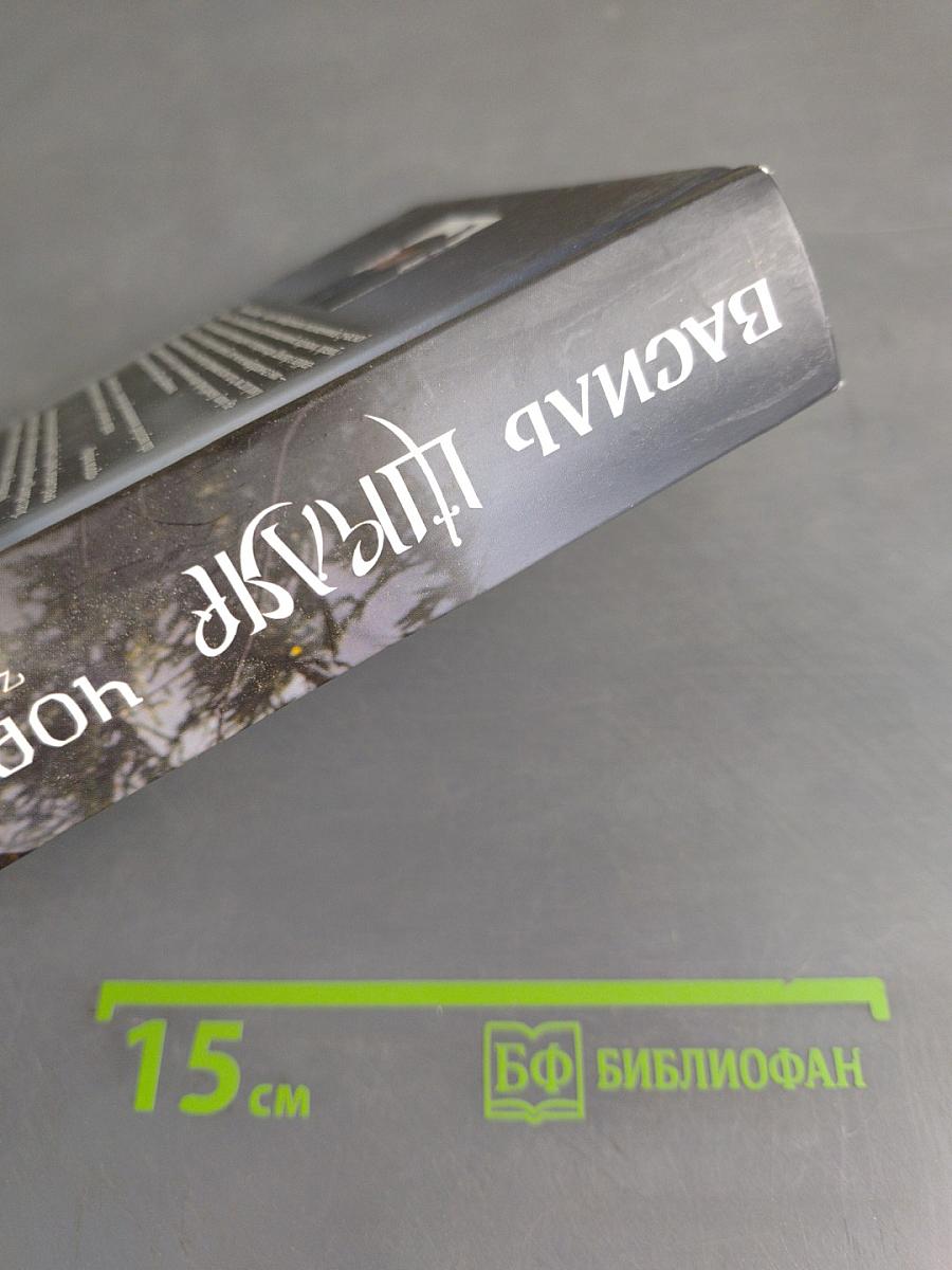 Чорний Ворон. Залишінець