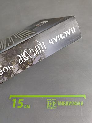 Чорний Ворон. Залишінець