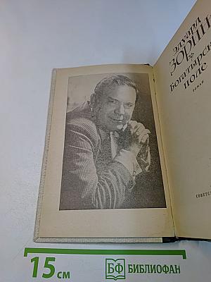Богатырское поле