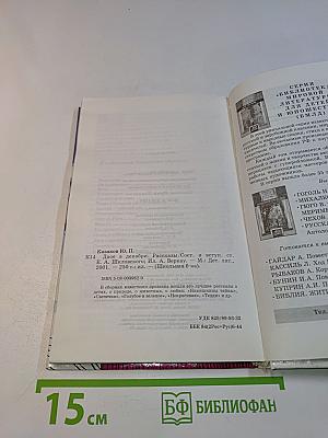 Двое в декабре