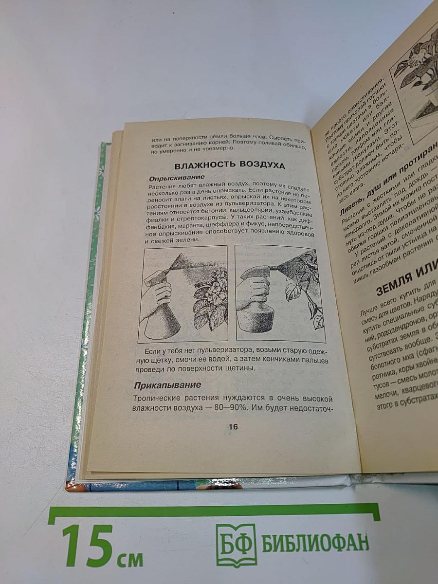 Комнатные растения для девочек